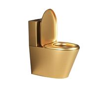 Sifone WC a doppio scarico in acciaio inox, design ad alta efficienza, a risparmio idrico, antigelo e resistente alle crepe, ideale per bagni commerciali e pubblici