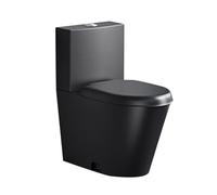 Sifone WC a doppio scarico in acciaio inox, design ad alta efficienza, a risparmio idrico, antigelo e resistente alle crepe, ideale per bagni commerciali e pubblici