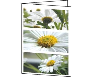 SIGEL Biglietti decorativi A6