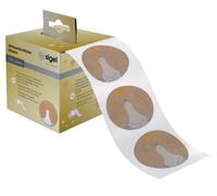 SIGEL CS121 Sticker natalizi in rotolo, 200 sticker, 4,7 x 4,7 cm, "Polar bear with shooting star", marrone, bianco, giallo