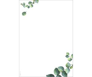 SIGEL DP626 Carta a tema - eucalipto - verde - 90 g/m² - A4-100 foglie