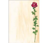 SIGEL DP695 Writing paper "Rose Bloom", A4, 90 gsm, 25 sheets 25 sheets Une pink