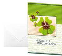 Sigel Fortune DS004 Good Luck Cards with German Text 17x11.5 cm Pack of 10 Inclu