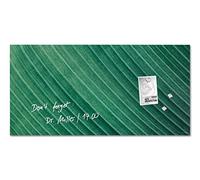 SIGEL GL371 Artverum Lavagna magnetica di vetro, foglie di palma verde, 91 x 46 cm, vetro di sicurezza
