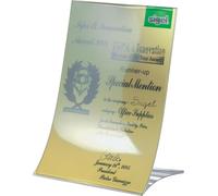 SIGEL TA161 Supporti da tavolo inclinati, pieghevoli, durevoli, 21 x 15 x 9,5 cm, trasparenti, 2 pezzi