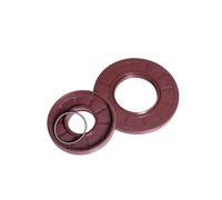sigillatura dell'asse di rotazione toroidale, FB/TG4 Paraolio scheletro in gomma al fluoro for pompe, motori, riduttori, dimensioni multiple(20X30X5 2PCS)