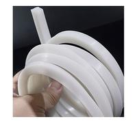 sigillatura di gomma in silicone quadrata, Striscia sigillante in spugna di gomma siliconica traslucida, diverse dimensioni, 1 m o 5 m(1M-1 X10MM)