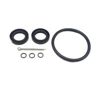 Sigillo dell'olio portante di portata fuoribordo 91252 ZV5 003 91351 ZV5 003 Compatibile con 30 35 40 45 Modelli da 50 CV include Pin 90758 ZV5 000 e guarnizione 91301 ZW4 003