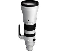 Sigma 300-600mm f/4 DG OS Sports Lens (Sony E)