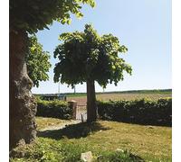 Sigmarsson, Sigtryggur Berg - Into the Second Half