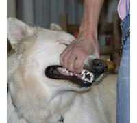 SIGN CRUSHES MOTORIST - I'LL BE OKAY (ULTRA CLEAR WITH PINK SPLATTER VINYL)