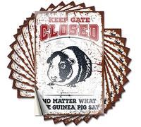 Sign & Keep Gate Closed No Matter What The Guinea Pig Say - Decorazione da bar per esterni, per paraurti personalizzato per auto, cartelli per bere per bar di casa (12 x 18 cm, 6 pezzi)