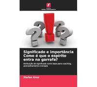 Significado e importância Como é que o espírito entra na garrafa?: Atribuição de significado como base para coaching, aconselhamento e terapia