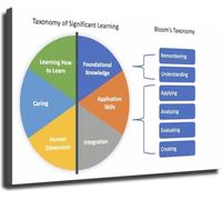 Significant Learning Taxonomy Visual Aid Poster Educational Wall-Art for Classroom Office Home Canvas Print(Unframed,16x24inch(40x60cm))