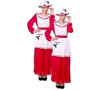 Signora Santa Claus Vintage Adulti Donna Santas Costume Travestimento