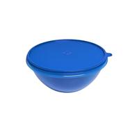 SIGNORA WARE Ciotola estiva con coperchio sospeso, a prova di perdite, antigoccia, contenitore salvafreschezza Hitparade (blu, 400 ml)