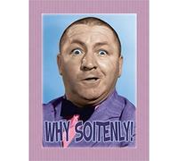 Signs 4 Fun Stooges - Magnete riccio