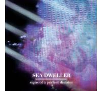 Signs of a Perfect Disaster