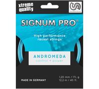 Signum Pro Andromeda Set di Corde 12m Saitenstärke