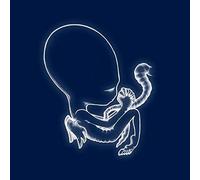 Sigur Rós Ágætis Byrjun (Vinyl LP) 12" Album