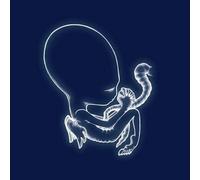 Sigur Rós Ágætis Byrjun (Vinyl LP) 12" Album
