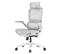 SIHOO B100 Pro Sedia Rete Ergonomica da Ufficio, Sedia da Scrivania con Supporto Lombare 4D, Sedia da Scrivania per Computer con Poggiatesta 3D, Braccioli Pieghevoli 4D, Reclinazione 90-135°, Bianca