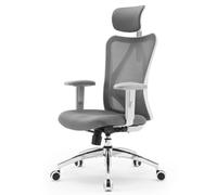 SIHOO M18 Sedia Ufficio ergonomica,Sedia scrivania, con Supporto Lombare per Poggiatesta e Bracciolo Regolabile,Schienale Alto in Rete,Portata Massima 150 kg(Grigio)