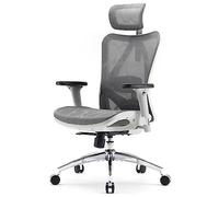 SIHOO M57 Sedia ergonomica da ufficio,design completamente traspirante,per computer,schienale alto,regolabile 3D,con braccioli e supporto lombare(Grigio Chiaro)