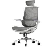 SIHOO M59AS Sedia da Ufficio Ergonomica, con braccioli ribaltabili 3D, doppio schienale e supporto lombare adattivo, sedia in rete ideale per l’ufficio a casa(Grigio)