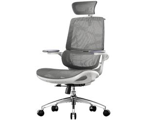 SIHOO M59AS Sedia da Ufficio Ergonomica, con braccioli ribaltabili 3D, doppio schienale e supporto lombare adattivo, sedia in rete ideale per l’ufficio a casa(Grigio)