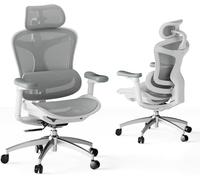 SIHOO Sedia da ufficio ergonomica Doro C300, braccioli 3D ultra-morbidi, supporto lombare dinamico, schienale regolabile per home office (grigia)
