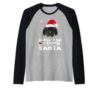 Sii Gentile con Me, Lo so Babbo Natale con Il Mastino Maglia con Maniche Raglan
