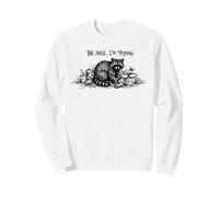 Sii Gentile, STO provando Funny Raccoon Felpa