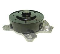 Saleri SIL PA1510 Pompa acqua