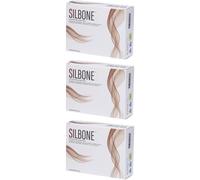 Silbone Bustine 3x60 g Polvere per soluzione orale