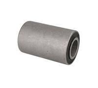 Silent block, molla a balestra S-TR 121001