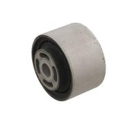 FEBI BILSTEIN Supporto, Differenziale per MERCEDES-BENZ 29803