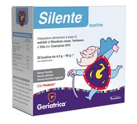 SILENTE 20BUST