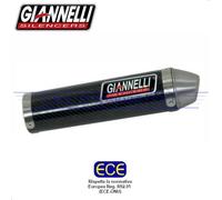 Silenziatore carbonio enduro/cross 2T Malaguti XSM 50 Anni 2019 2020