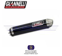 Silenziatore carbonio stradale 2T fond.antiinfortunistico Aprilia TUONO 125 2004