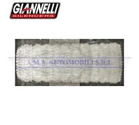 Silenziatore cilindrico in carbonio L.250mm innesto 32mm Giannelli Universale