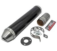 Silenziatore GIANNELLI APRILIA RS 125 1992 1993 2T carbonio omologato RS125