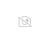 Silenziatore posteriore LeoVince S10034 / S10042 / S10417 Ø 50mm 205mm