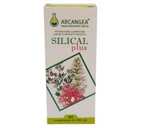 Silical Plus 60 Compresse