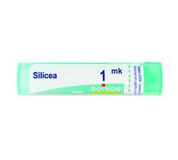 Silicea 1 Mk Tubo 2020