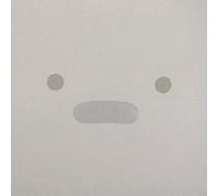 Silicon - Personal Computer