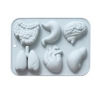 silicone organo-6 parti del silicone in interni, torta con cuore e cervello | Simulazione fai da te di umani con 6 cavi, per fond