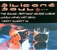 Silicone Soul - The Answer