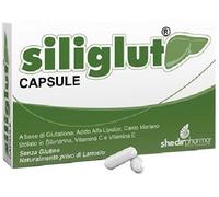 Siliglut 20 Capsule