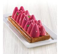 Stampo in silicone Kit Ice Glow Silikomart rettangolare tronchetto mousse Rotex